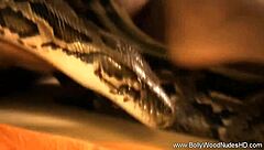 exotic asian dancer teases with sensual striptease