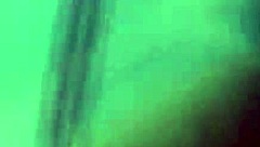 Wife's Pussy Dripping with Stranger's Fresh Cumshot