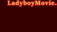 trans office ladyboy flashes tits pees toilet tease