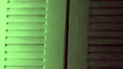 Curvy Puerto Rican Latina Craves Spoiling