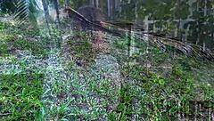 hey this tied up babe can't resist obeying now