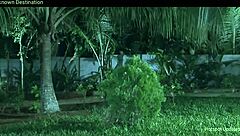 piu chauhan's nipple slip leads to steamy nude sex scene