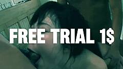 hey everyone adorable japanese milf reika kashiwakura delivers wild tit fuck blowjob session full of pleasure