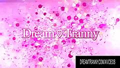 dream tranny bareback shemale anal compilation 😈🍑💦