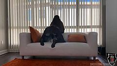 rome major rams monster cock down hazel moore's throat