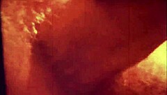 i dive into vintage retro orgies full of hairy gangbang action