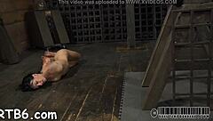 sexy rough whipping arouses bound beauty's tight pussy craving more