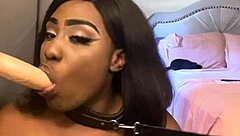 lexi butterfly spits and submits while sucking that massive cock off the wall