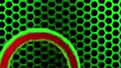 hey whitney wright why your sexy soles so nasty wet?