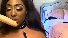 lexi butterfly spits and submits while sucking that massive cock off the wall