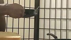 llamasr big black cock tits kitchen banana food play