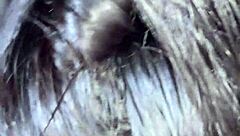 amateur couple eats dessert bathroom fun