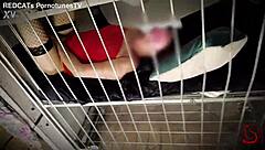 my yearly capture at breeding farm for stranger inseminations feels intense