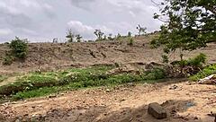 a fun day in the forest with friends turns into wild outdoor play and screams