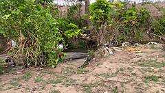 a fun day in the forest with friends turns into wild outdoor play and screams