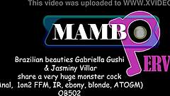 brazilian gabriella gushi anal ffm gapes ebony blonde atm