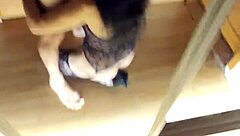 Milf Delivers Deep Throat Then Rough Anal Pounding