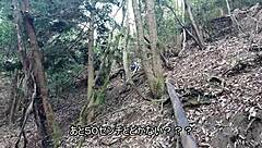 Japanese YZ250FX Dirt Bike Performance Features Overview