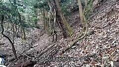 Japanese YZ250FX Dirt Bike Performance Features Overview