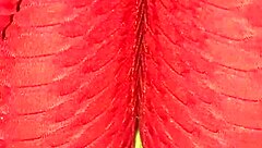 colombian babe rubs wet cameltoe through leggings dirty talking to cum