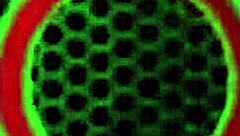 alex mae masturbates cock with sweaty sexy feet playfully