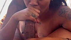 Pigtail Ebony Slut Sucks Monster Black Cock Sloppily