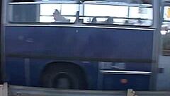 Nasty Amateurs Fuck Hard Outdoors in Forest Scene Four