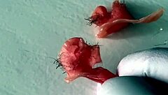 Blonde milf petite waxed armpits nose closeup wet pussy