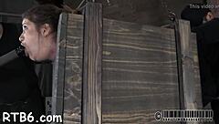 european couple dives into nasty bdsm with hardcore sucking and fucking