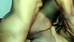 Nigarchrist Update 1563 Features Petal's July 6 2025 Session