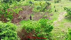 i can't believe we fucked that homeless girl again in this final threesome