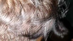 Big Tits Latina Brunette Gloryhole Trolls Monster Cocks With Friend