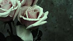 MCR Goth Heartbreak in Spanish Subtitles