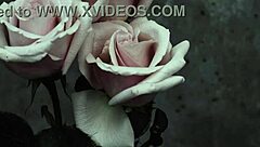 MCR Goth Heartbreak in Spanish Subtitles