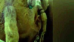 i'm back for round 2, princess hayze blows like a pro