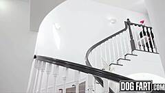 rissa mays' dripping pussy pounded by stepbae dogfart