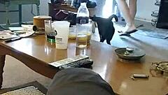 blonde slut lotions up teasing spy cam whore style