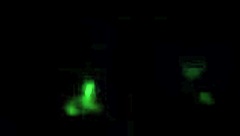 big-ass latina stepmom left alone with stepson on halloween 😈🍑👻