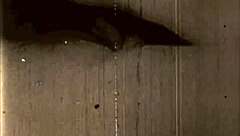 Classic vintage erotic illustration showcase