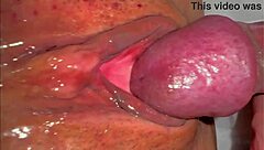 pink pussy licked 227 days post virginity loss 👅💦