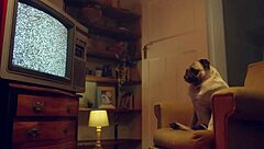 benefit monkey recording interrupted by irresistible backstage desire fuck