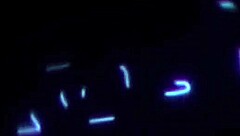 wanna smoke while i ride your cock to wet orgasm?