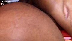 hey sunny bunny bounces on nyc bbc