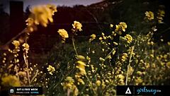 riley reid's pussy devoured hard by reena sky in intense lesbian probe