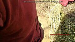 hey rani singh desi girlfriend rides big cock outdoors