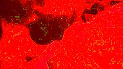 wife masters cock sucking with deepthroat and mouthful cum swallow