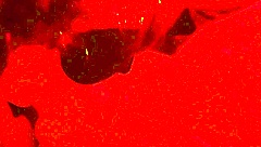 wife masters cock sucking with deepthroat and mouthful cum swallow