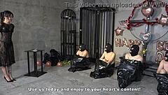 Four Masochistic Slaves Delivered To Bdsm Mistress Sara's Birthday