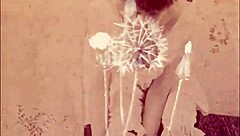 vintage retro hairy beaver silent films