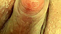 corno watches live as wife surrenders pussy to stranger's thrusts